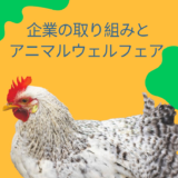 日本企業にとっての企業価値とアニマルウェルフェア政策、ケージフリー鶏卵調達の方針