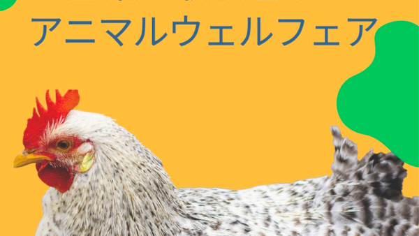 日本企業にとっての企業価値とアニマルウェルフェア政策、ケージフリー鶏卵調達の方針